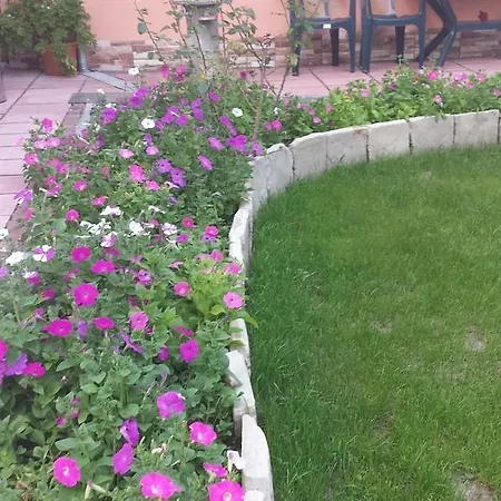 Lägenhet Stonel Veliko Tărnovo