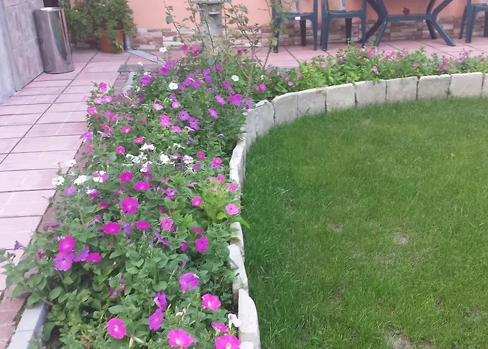 Apartment Stonel Veliko Tarnovo